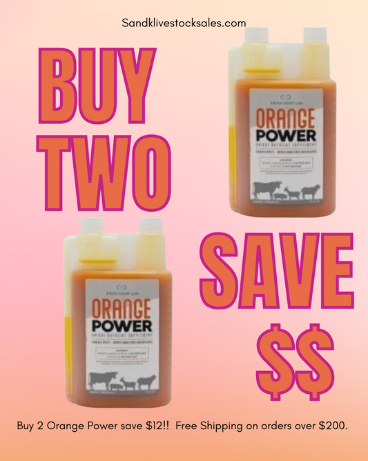 Buy 2 Orange Power - Save!!