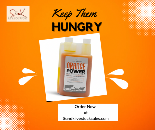 Buy 2 Orange Power - Save!!